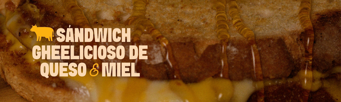 Sándwich Gheelicioso de Queso y Miel 🍯